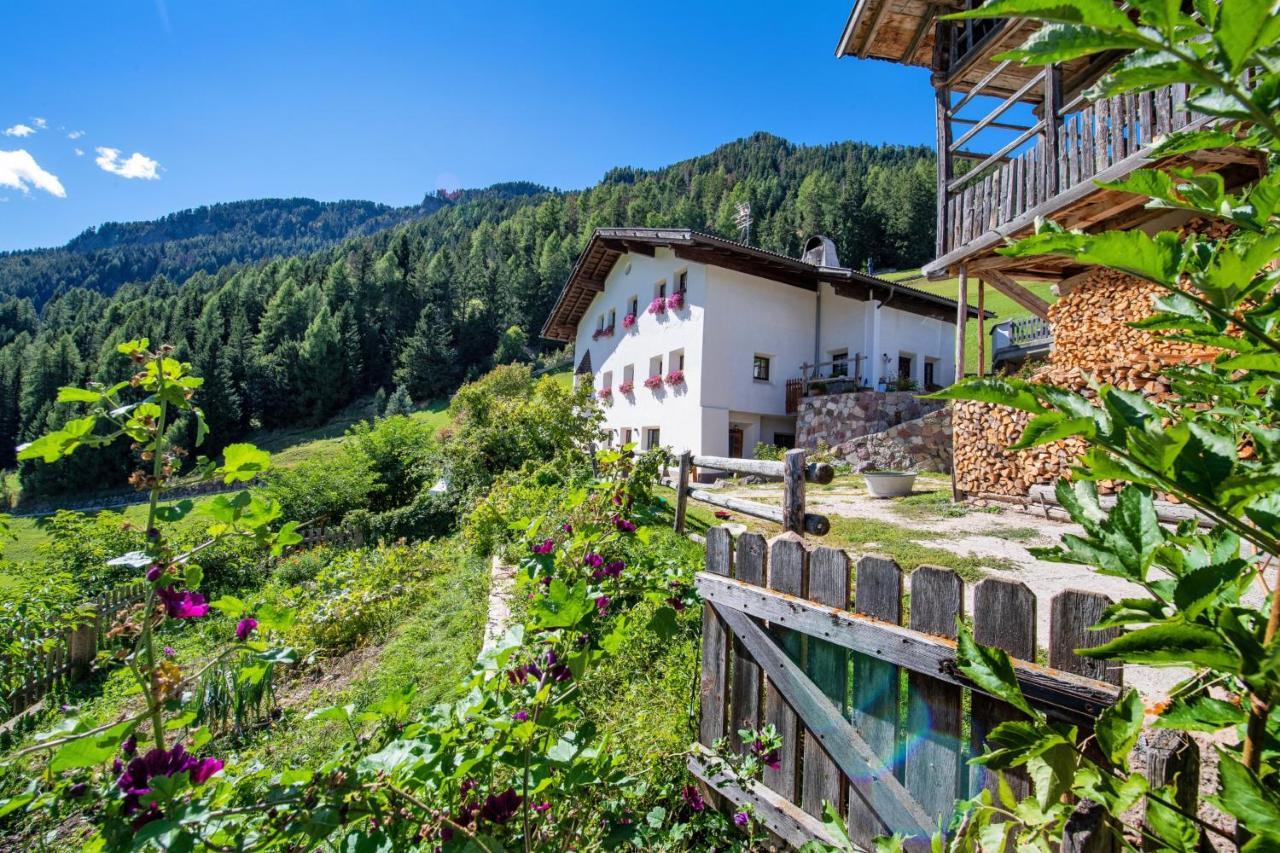Agriturismo Apartments Tuene أورتيسايْ المظهر الخارجي الصورة